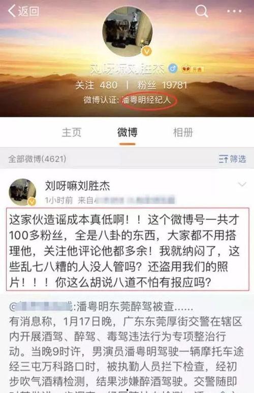 东莞直播爆料最新消息,最新动态揭秘，热点事件追踪！