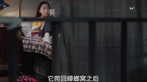 姐姐爆料原视频,姐姐爆料原视频背后的惊人真相